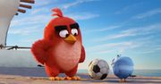 Sega kupuje twórców Angry Birds. Na stole ponad 700 mln euro