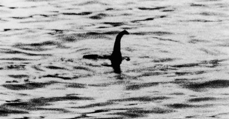 Zagadka potwora z Loch Ness. Naukowcy mają odpowiedź