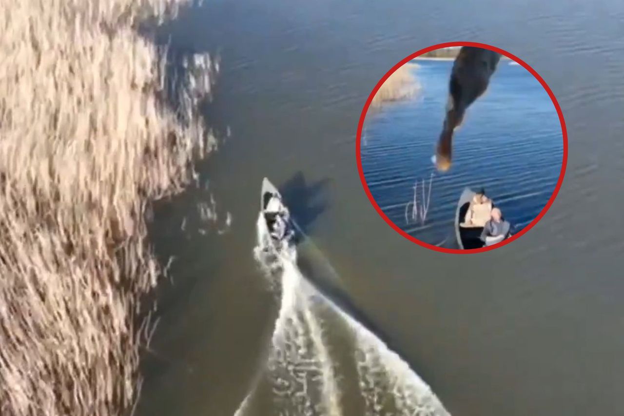 A Ukrainian almost knocked down a Russian drone... with a fish