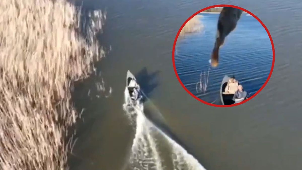 Ukrainiec niemal strącił rosyjski dron... rybą