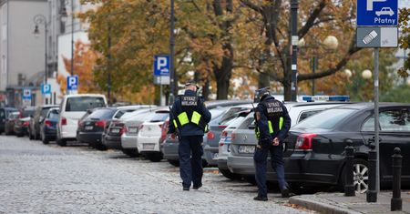Płatne parkowanie w Polsce. Kierowcy wydają 400 tys. zł dziennie