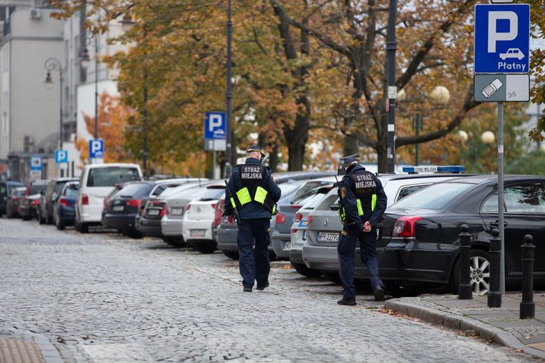 Płatne parkowanie w Polsce. Kierowcy wydają 400 tys. zł dziennie