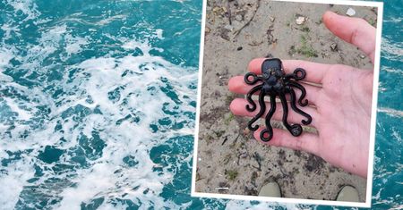 Niezwykłe znalezisko na plaży. 13-latek miał niesamowite szczęście