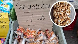 Kupiłam na targu szyszkę za złotówkę. Spojrzałam na opakowanie i pożałowałam