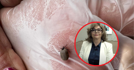 Lekarka ostrzega i radzi. Te zapachy działają odstraszająco na kleszcze