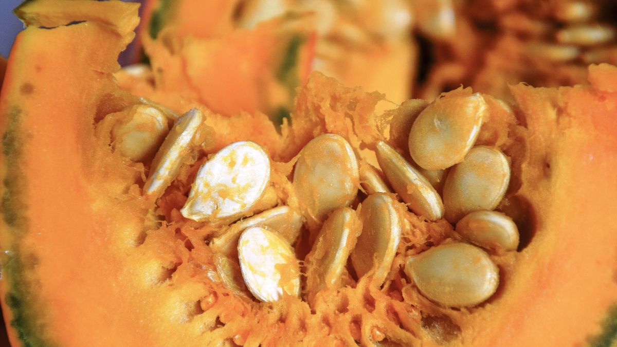 Dynia i jej właściwości