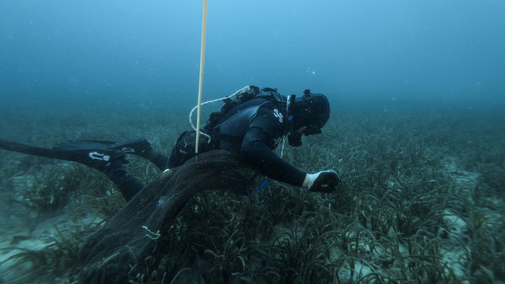 Płetwonurek na dnie morza