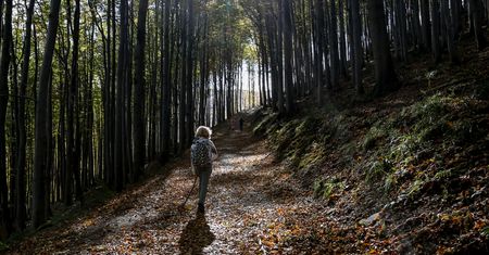Trudne warunki na szlakach w Beskidach. GOPR ostrzega