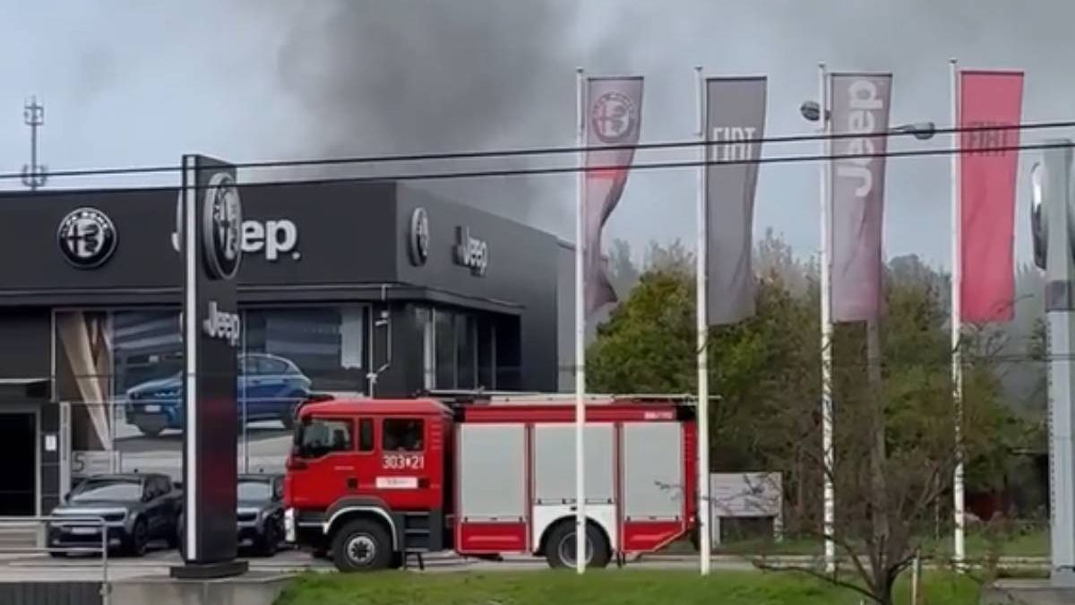 Pożar samochodów na terenie salonu samochodowego przy ul. Mełgiewskiej w Lublinie