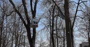 Biłgoraj: Trwa rewitalizacja Skweru Saskiego