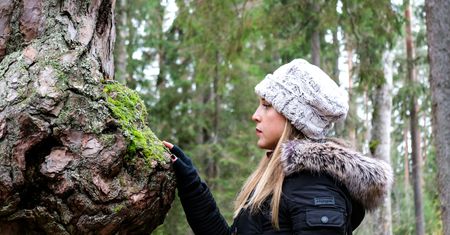 Lasy Państwowe wycofują się z pozwów. Myśliwi są wściekli