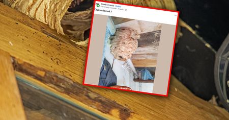 "Czyj to domek?" Pokazał zdjęcie z działki. Padła odpowiedź