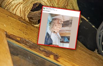 "Czyj to domek?" Pokazał zdjęcie z działki. Padła odpowiedź