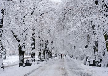 Pogoda w Rzeszowie. Prognoza na niedzielę 1 lutego. Silny mróz i wschodni wiatr