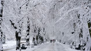 Pogoda w Rzeszowie. Prognoza na niedzielę 1 lutego. Silny mróz i wschodni wiatr
