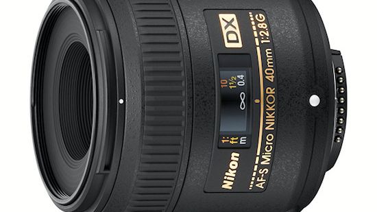 Nikon Nikkor 40 mm f/2.8 do budżetowej makrofotografii 1