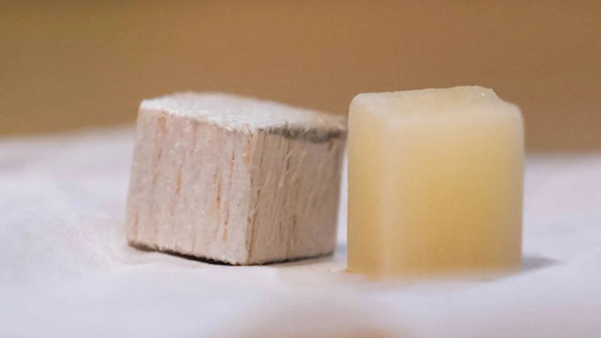 Drewno pozbawione ligniny (po prawej) i zwykłe drewno (po lewej)