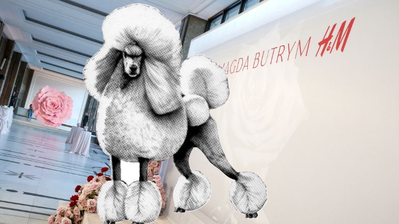 Co działo się za kulisami pokazu Magdy Butrym?