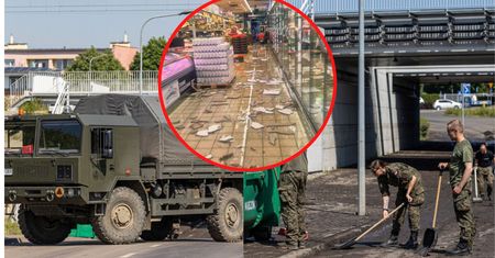 Zdewastowana Biedronka, wojsko na ulicach. "Krajobraz, jak po katastrofie"