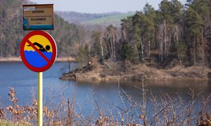 Remont zapory doprowadził do masowego śnięcia ryb. Zawiadomiono prokuraturę