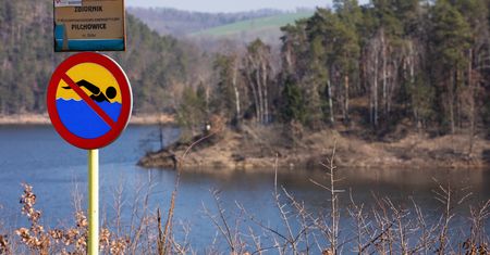 Remont zapory doprowadził do masowego śnięcia ryb. Zawiadomiono prokuraturę