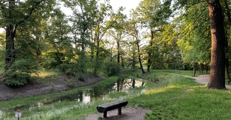 Wrocław. Pogoda. 30 lipca - ciepło i bez deszczu. Pogoda zachęca do działania