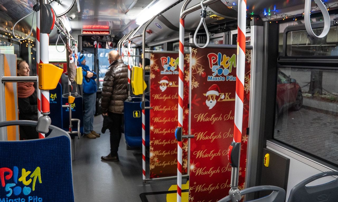 Autobus, Piła, MZK