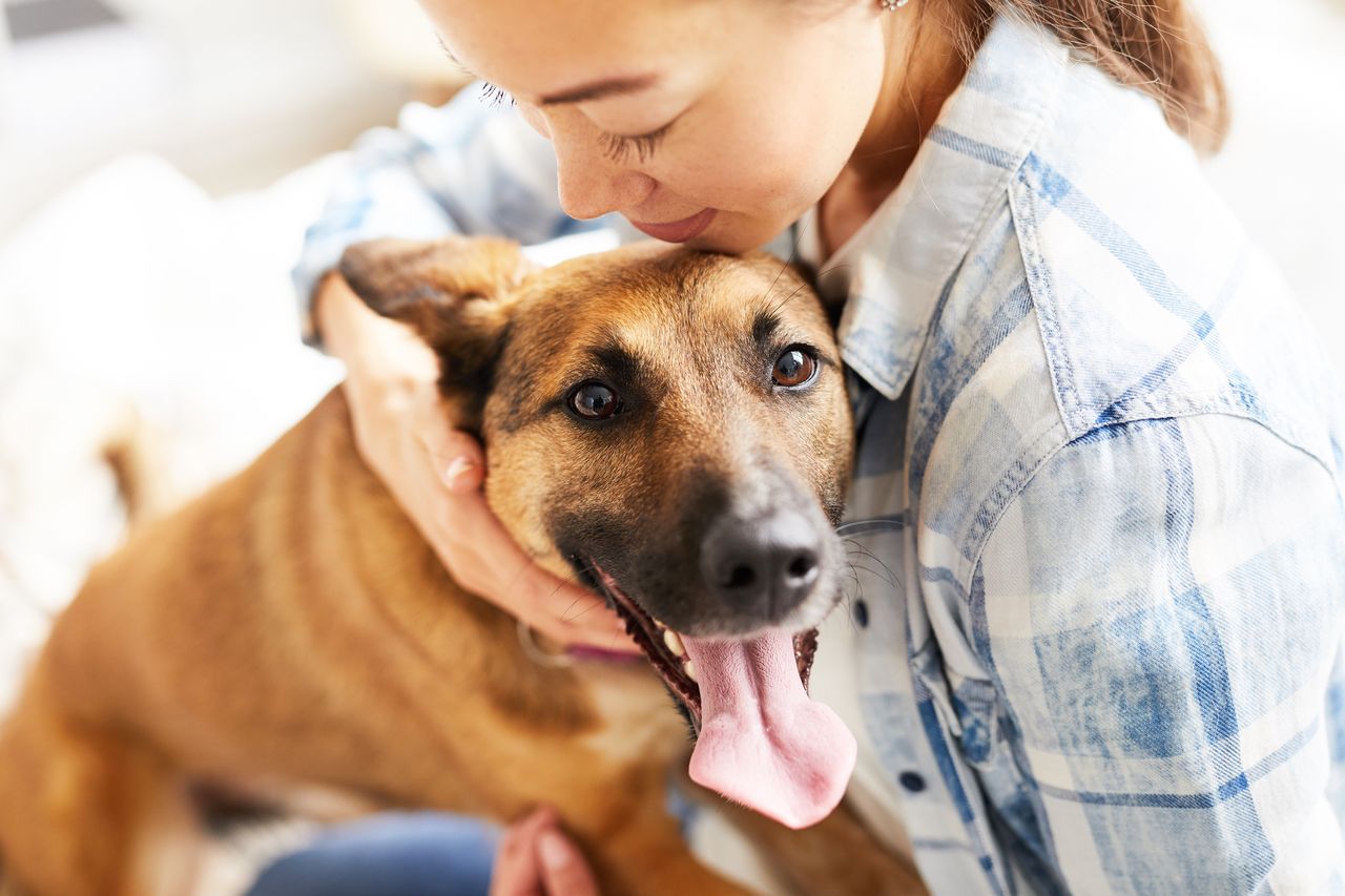 Hugging your dog might be causing them stress, experts warn