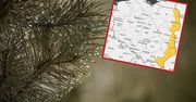 Pogoda na jutro. Nawet 14 stopni. Zapowiedź IMGW na czwartek 19 grudnia