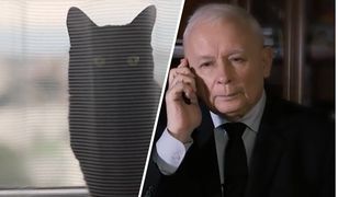 Na reakcje nie trzeba było długo czekać. Nowy spot PiS krąży w sieci