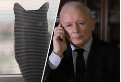 Na reakcje nie trzeba było długo czekać. Nowy spot PiS krąży w sieci