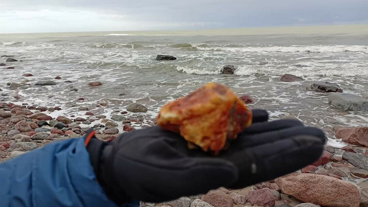 Pan Jan znalazł taki bursztyn w miejscowości Dębina 