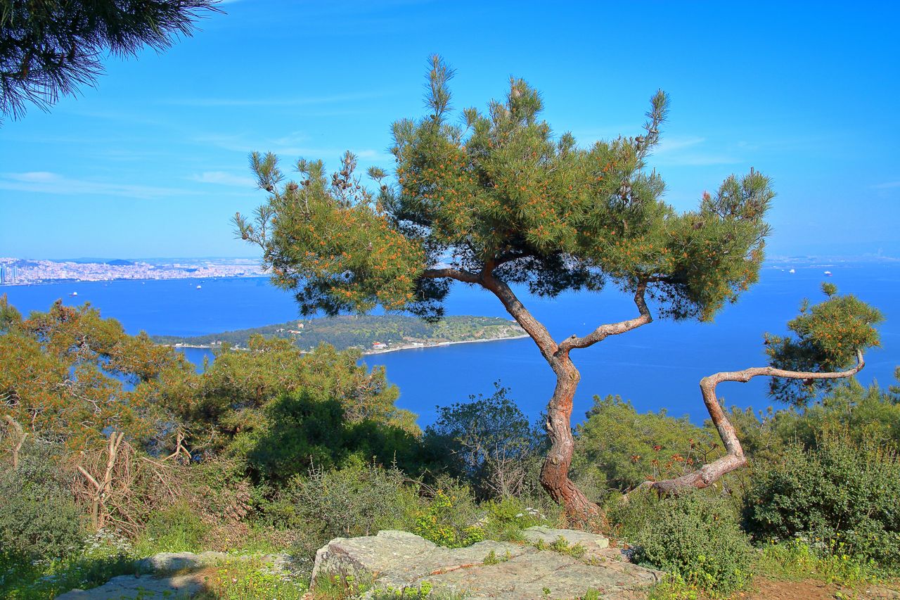 Widok na Morze Marmara z wyspy Büyükada 