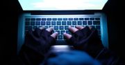 Włocławek: Sprzedawał pirackie programy. Na jego komputerze znaleziono coś gorszego