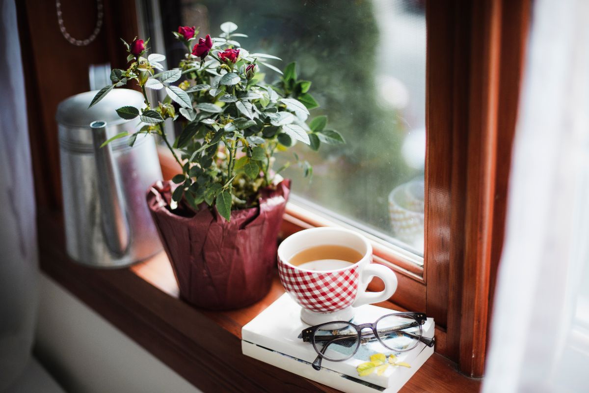 A window without curtains will benefit from plants and decorations.