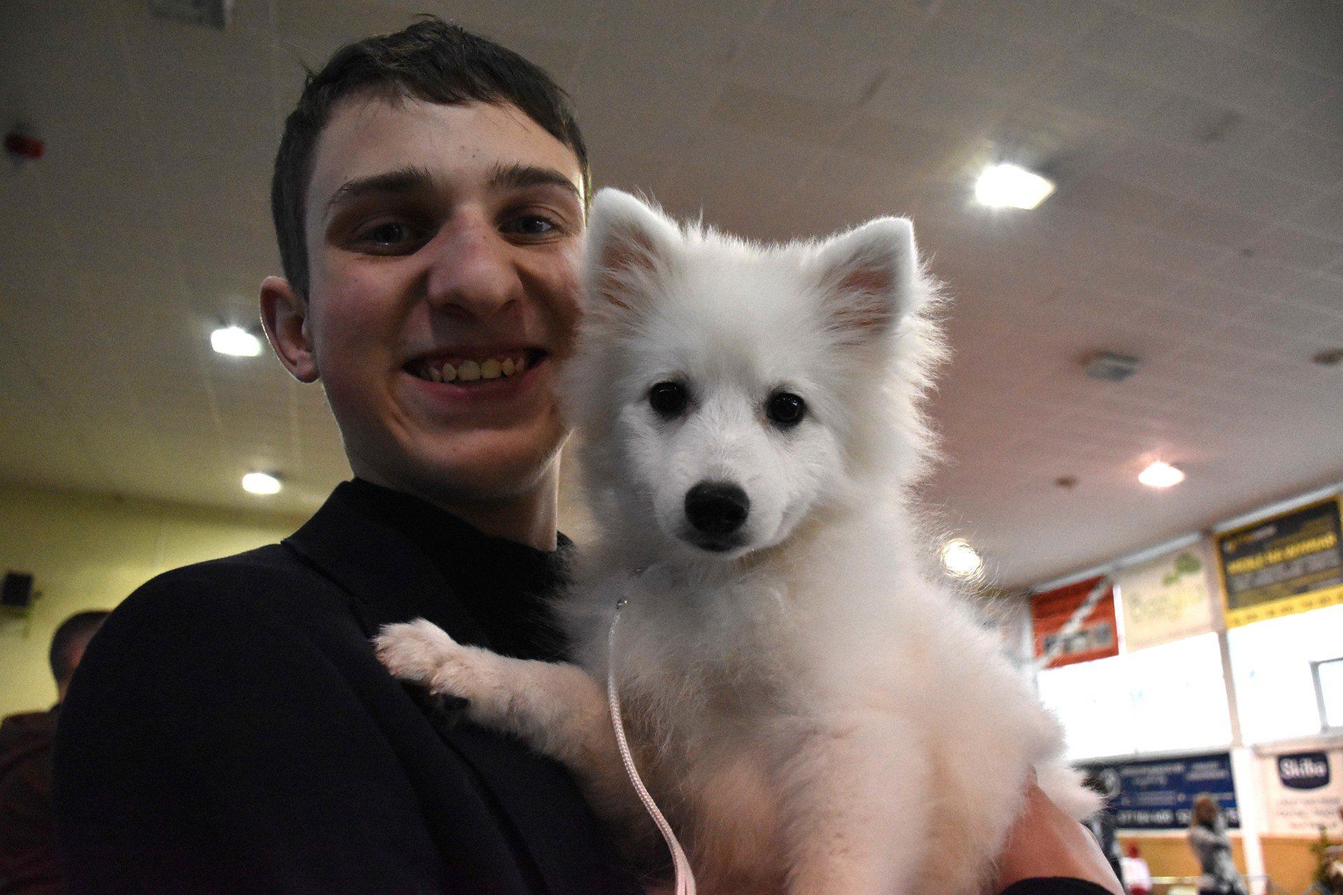 V Zimowa Wystawa Psów Rasowych w Chojnicach