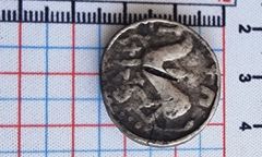 Rzadkie odkrycie w Świętokrzyskiem. Naukowcy badają teren