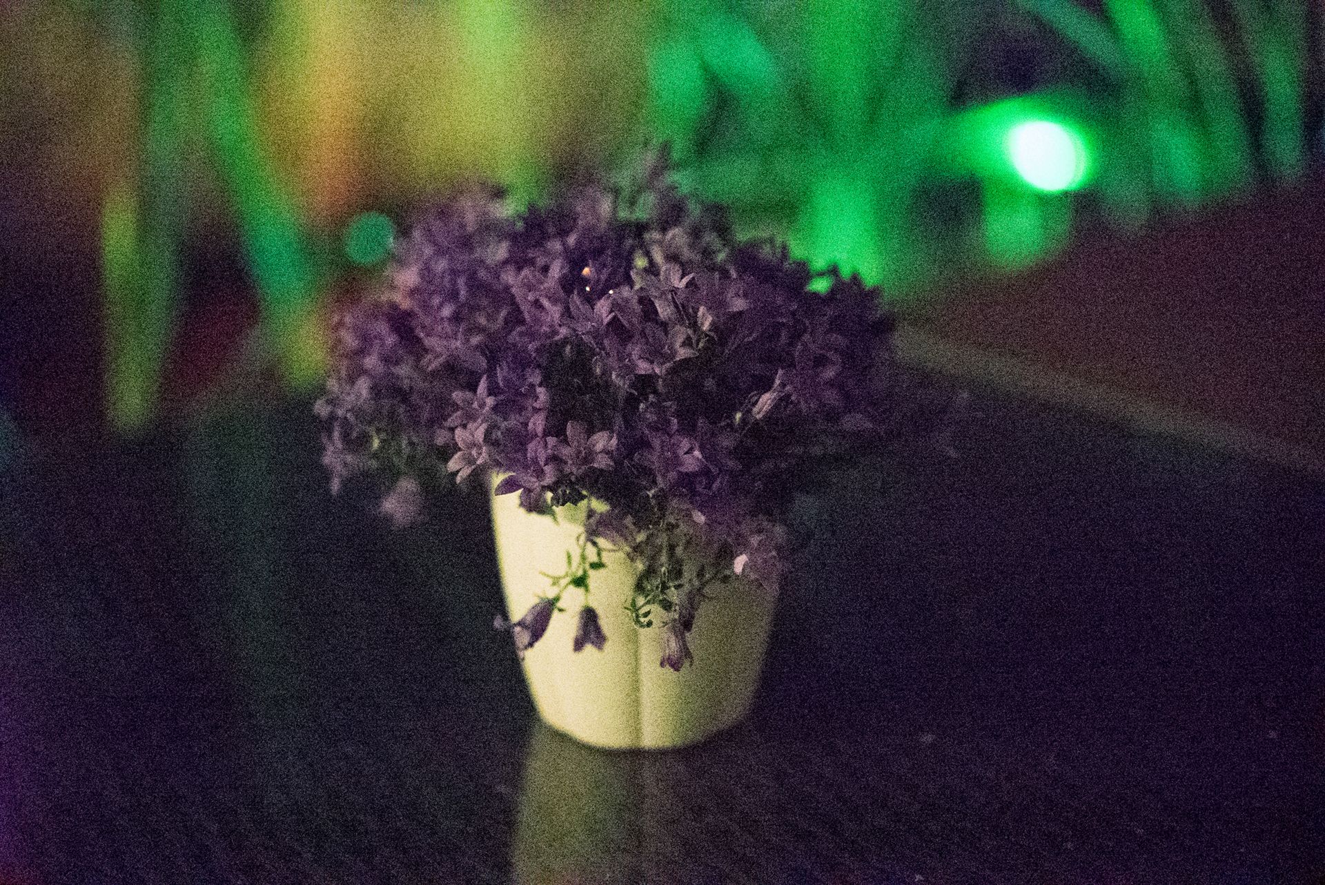 Sony A7S - zdjęcia testowe do ISO 409 600 33
