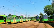 Poznań: Światowy Dzień Transportu Publicznego po raz pierwszy w mieście