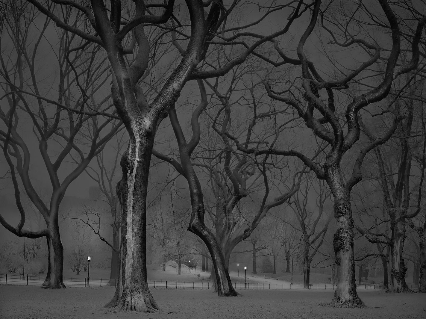 Zobacz opustoszały nowojorski Central Park w projekcie „Deep In a Dream" 6