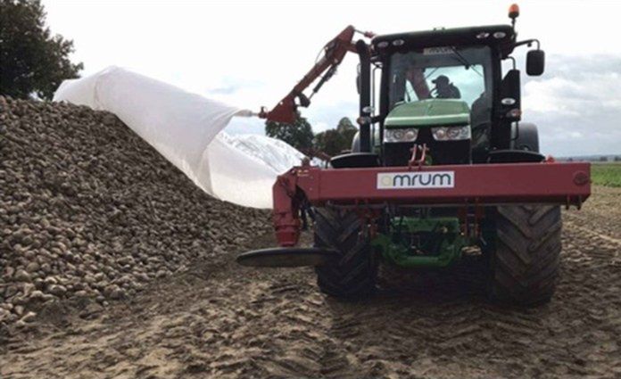 Trudne negocjacje zakończone. Znamy ceny buraków cukrowych