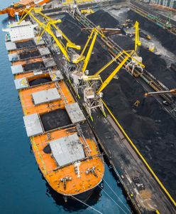 Wysyp fałszywych sklepów z węglem. Oto jak oszuści podszywają się pod PGG