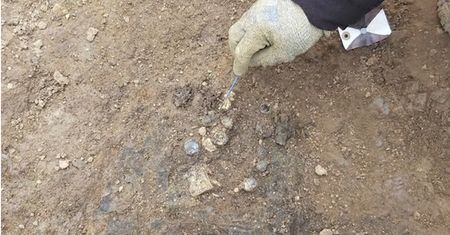 Sensacja archeologiczna na budowie. Odkrycie z VII wieku jest warte fortunę