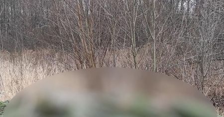Lubelszczyzna. Dziwaczne odkrycie w lesie
