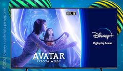 Specjalne strefy hitów Disney’a w polskich miastach, wspólna trasa promocyjna Polsat Box, Plusa i Disney+