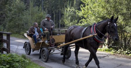 Zakopane. Jest wyrok w sprawie fiakrów z Morskiego Oka