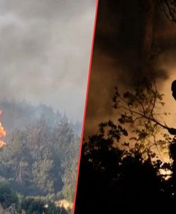 Tragiczne obrazy z Turcji. Kolejne pożary pochłonęły zachód kraju