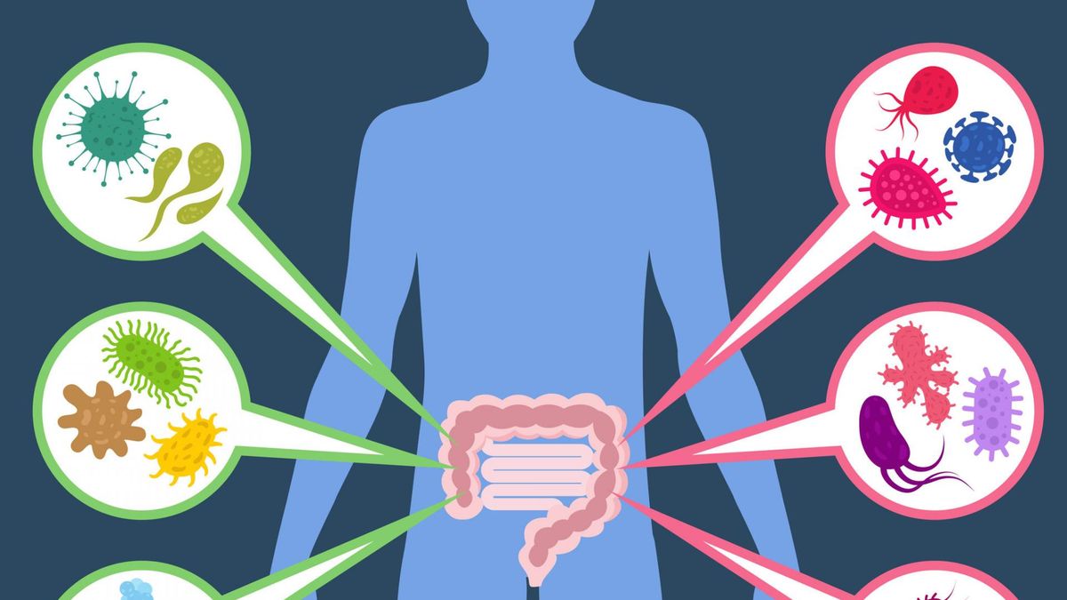 Nieszczelność jelit może mieć wiele przyczyn
