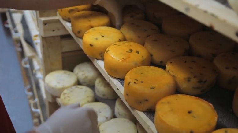 Choć ser jest cennym źródłem m.in. wapnia, warto ograniczyć spożycie niektórych jego rodzajów 