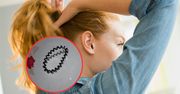 Masz taką gumkę do włosów? Koniecznie musisz poznać sprytny trik